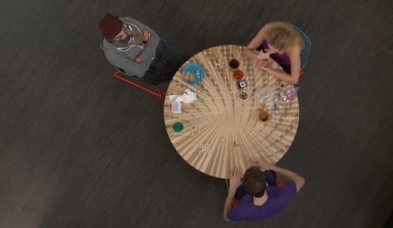 Final 3 Houseguests on Big Brother 17