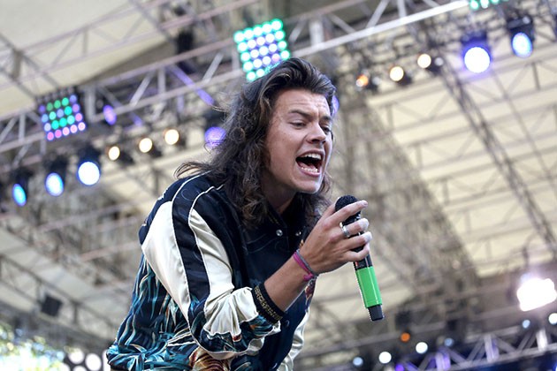 Harry Styles Nicely Corrects Fan's Grammar at One Direction Philadelphia Concert