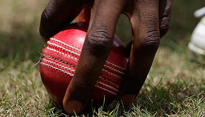 WATCH Bermuda cricketer handed life ban after ugly fight on cricket pitch