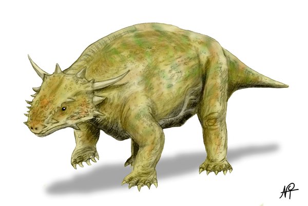 About the same size as a cow this pre-reptile also stood the same way — upright with its legs underneath. It may be the earliest known creature to do so according to a new study