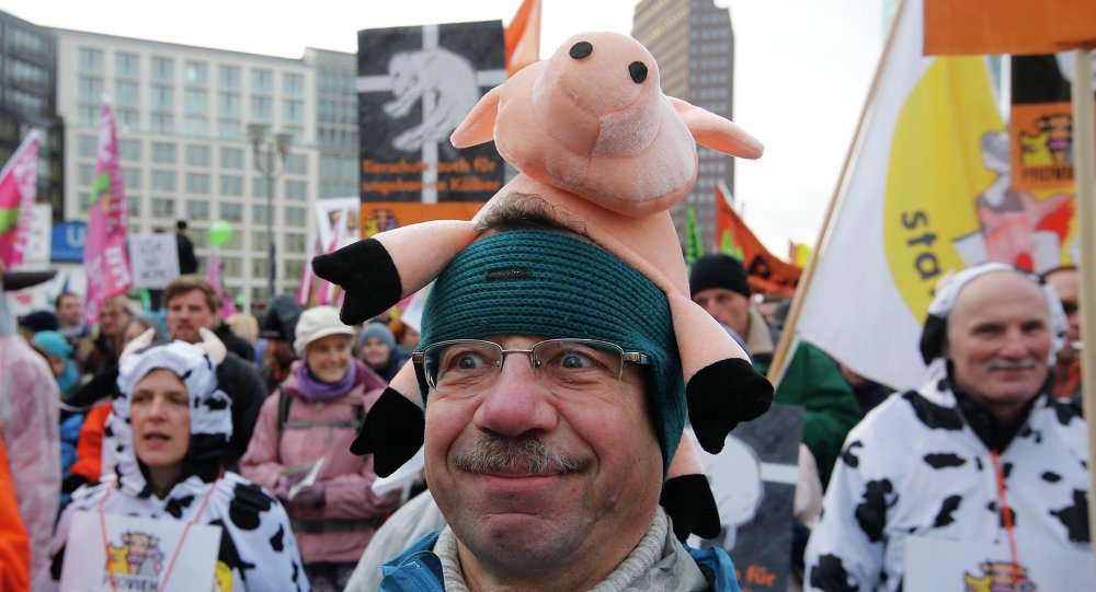 A demonstrators take part in a German farmers and consumer rights activists march to protest against the Transatlantic Trade and Investment Partnership, mass husbandry and genetic engineering in Berlin