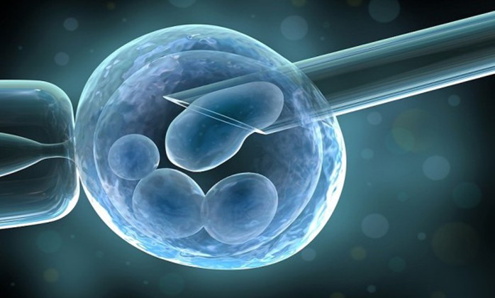 UK scientists want to genetically modify human embryos too