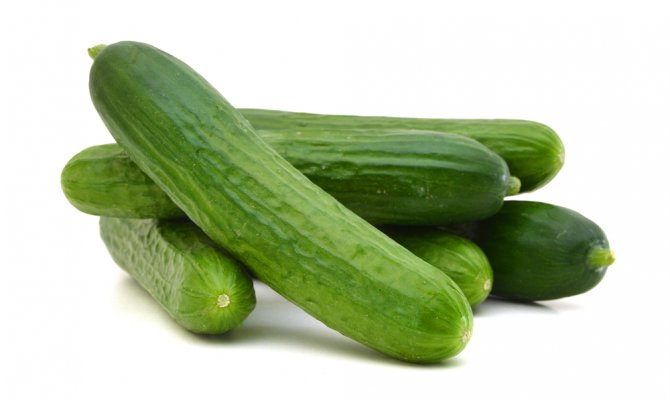 Cucumber Salmonella Update 3 Dead 558 Sick