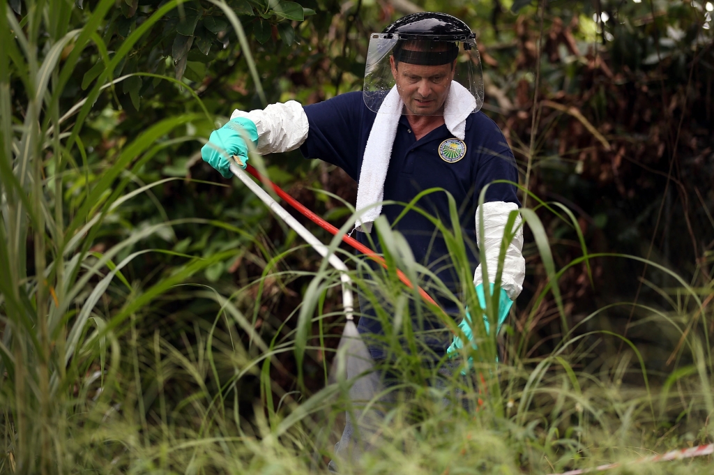 A Tiny Fly Is Wreaking Havoc on Florida's Fruit