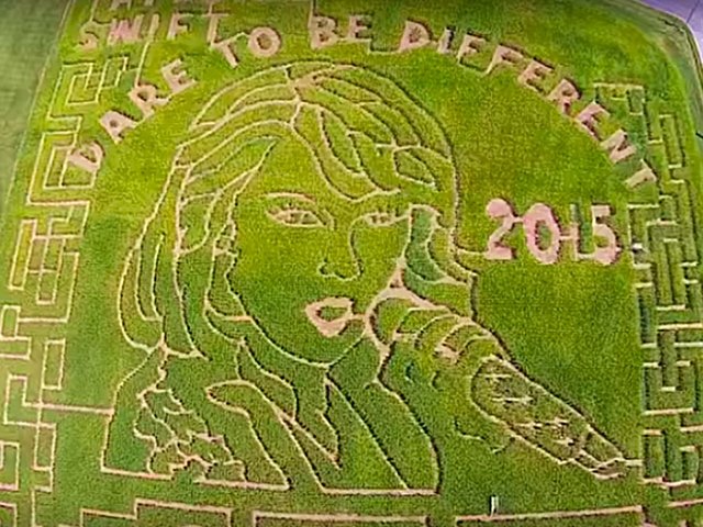 Maryland farm creates larger-than-life Taylor Swift corn field maze