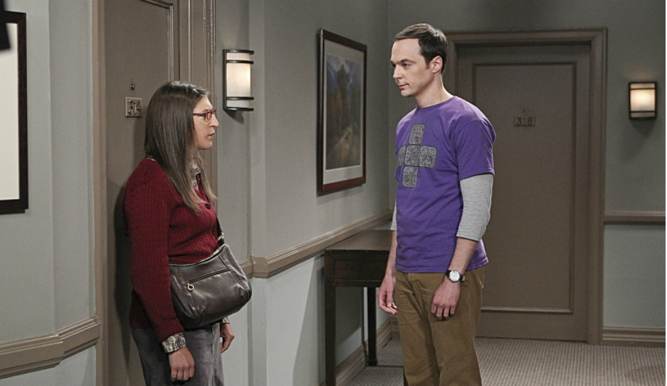 Sheldon and Amy in The Big Bang Theory