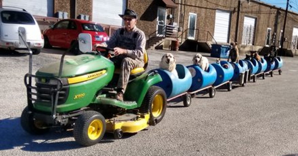 80-Year-Old Man Drives Rescued Pups Around Town In Their Own Mini Train