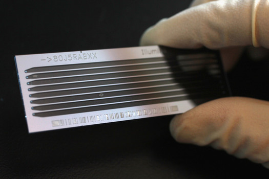 A slide with DNA used for sequencing genomes