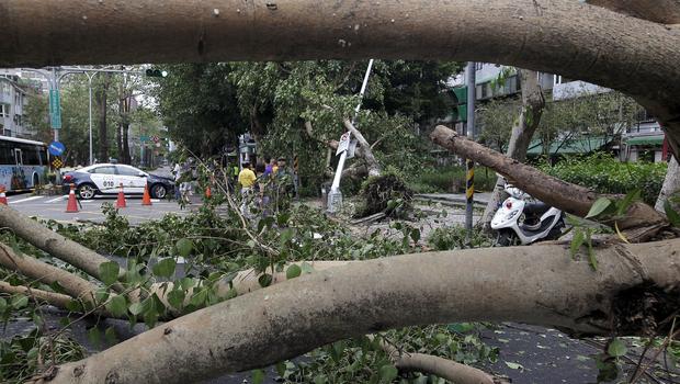 A view shows trees uprooted by strong winds from Typhoon Dujuan along a street in Taipei Taiwan