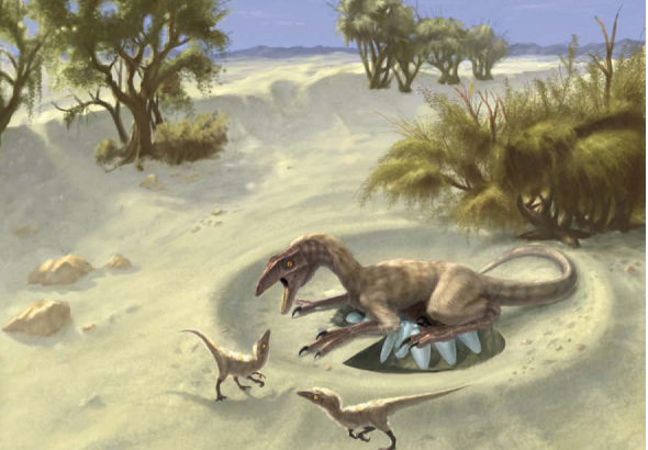 An artist’s rendering of oviraptorid theropods