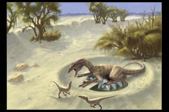 An artist's rendering of oviraptorid theropods