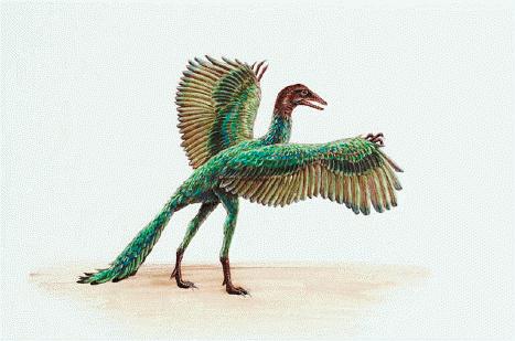 Birds flew over dinosaurs' heads, study suggests