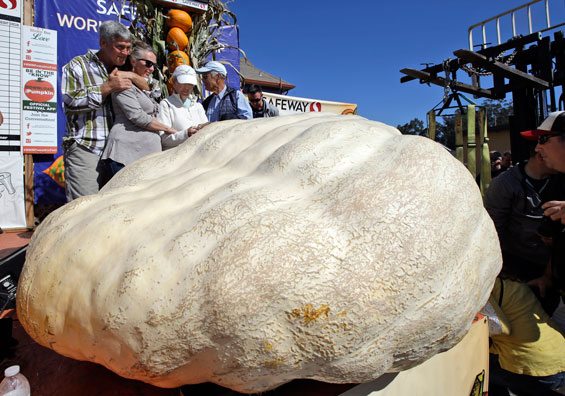 California contest dubs 1969-pound pumpkin the plumpest