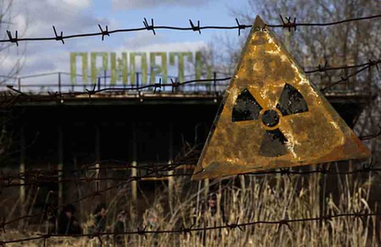 Behind the radiation level warning signs of Chernobyl many animal populations are recovering and thriving