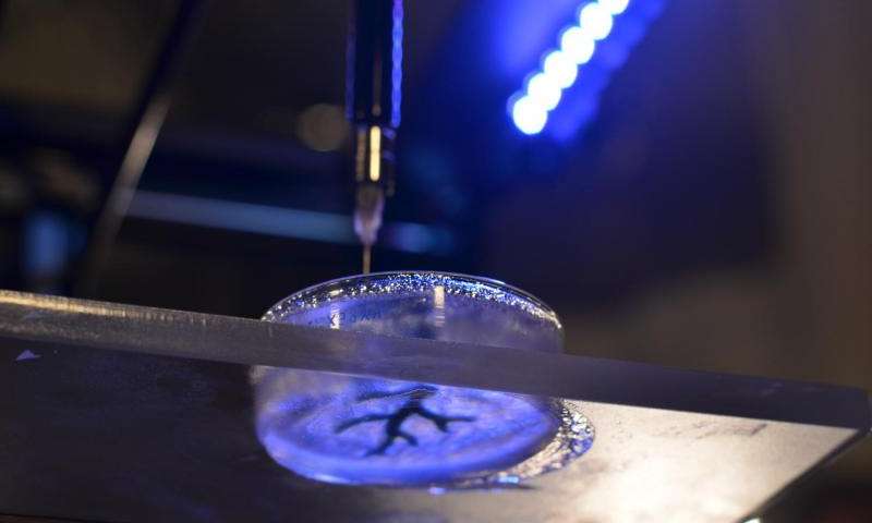 Coronary artery structure being 3-D bioprinted. Credit Carnegie Mellon University College of Engineering