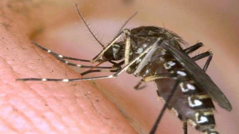 State officials: 2nd person in 2015 dies of West Nile virus