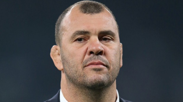 Wallabies coach Michael Cheika says Australia has work to do if they're to win the Rugby World Cup