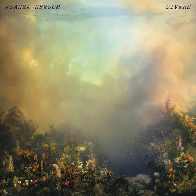 Divers              Rating            Artist          Joanna Newsom           Label          Drag City