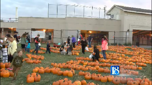 Family's gathered to pick a pumpkin to carve