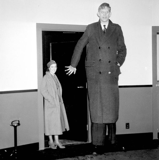 Robert Wadlow