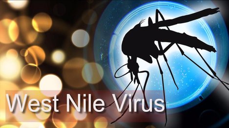 3 new cases of West Nile virus reported in Suffolk County