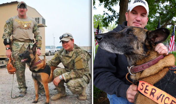 Mike the dog with owner Matthew Bessler