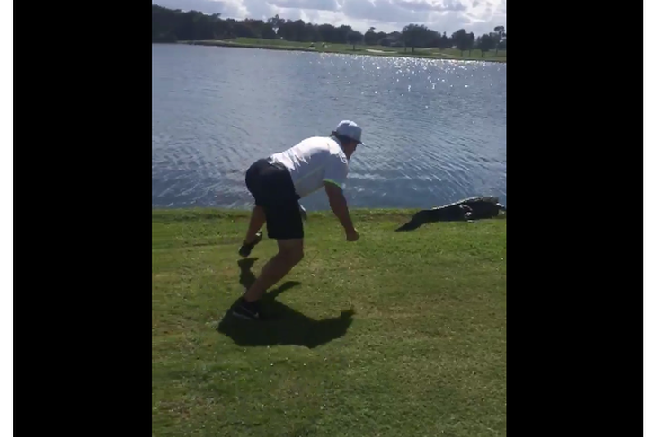 Watch Jeremy Roenick lunge at an alligator on a golf course