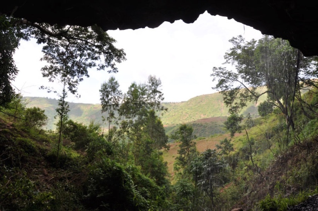 Kathryn and John Arthur	Modern humans emerged in Africa around 200,000 years ago