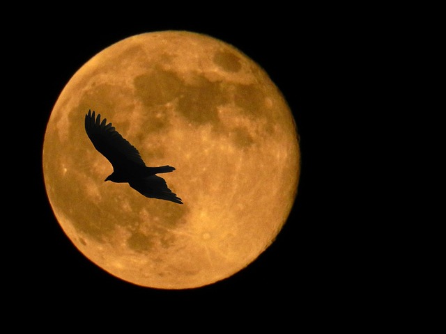 Supermoon Oct. 26-27, 2015: Don't miss the last mega-moon of the year