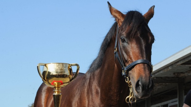 Looking ahead... Mongolian Khan poses with the Melbourne Cup