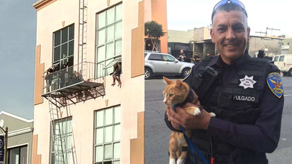 Man who Fled Traffic Stop Remains in Second Story Window Threatening to Jump