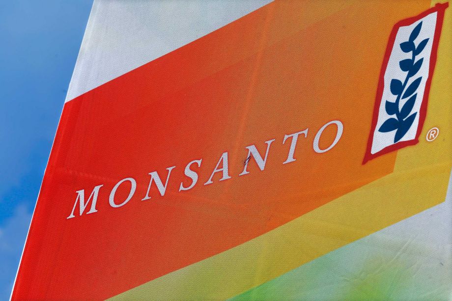 Monsanto slashing 2600 jobs, buying back shares as sales fall