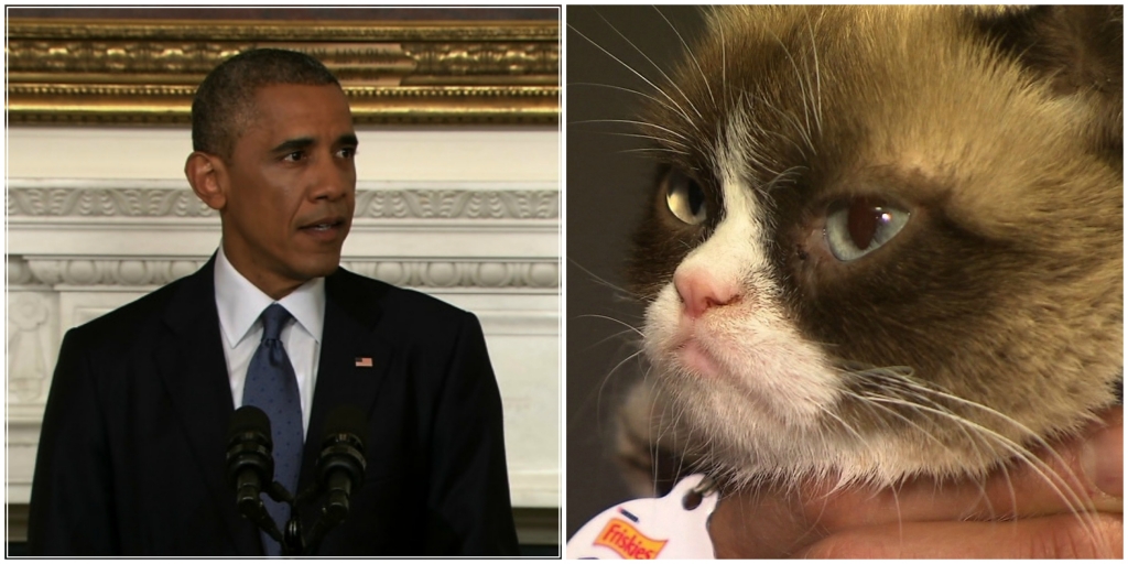 Obama Grumpy Cat