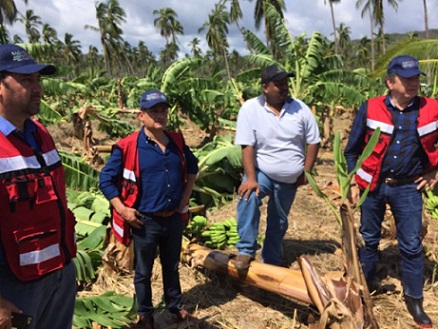 Officials with SAGARPA Mexico's agricultural ministry assess damage from Hurricane Patricia