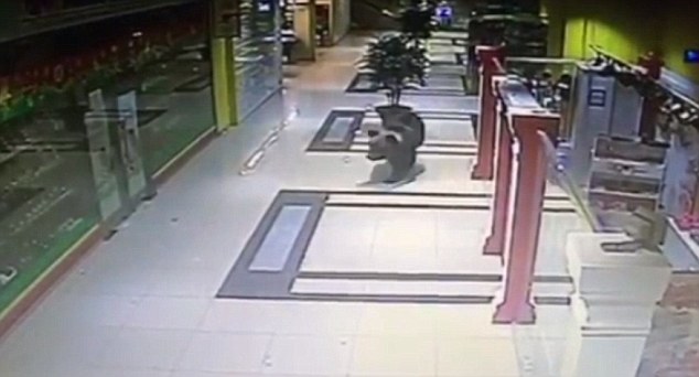 On the rampage The bear could be seen roaming through the shopping centre and smashing shop fronts