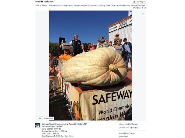 California contest dubs 1969-pound pumpkin the plumpest