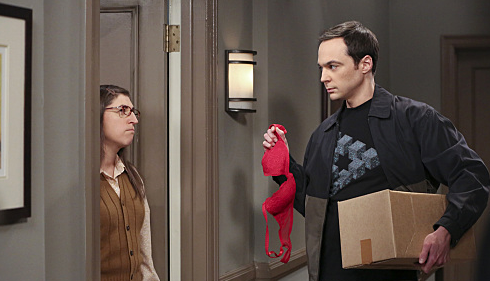 Amy and Sheldon