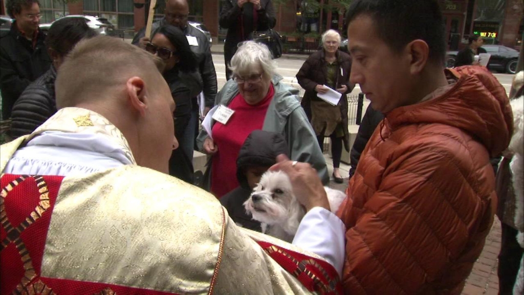 39;Blessing of the Animals&#39 recognizes spiritual attachment to pets