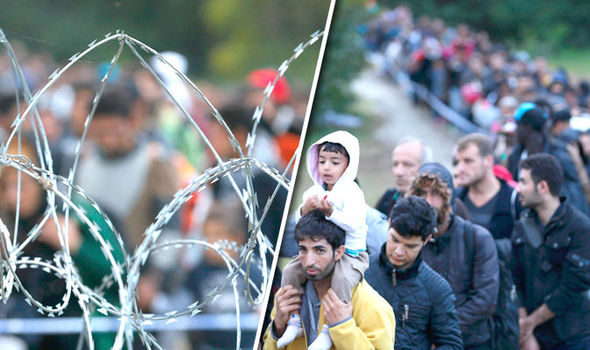 Migrants are seen behind barbed wire make their way after crossing the border at Zakany Hungary