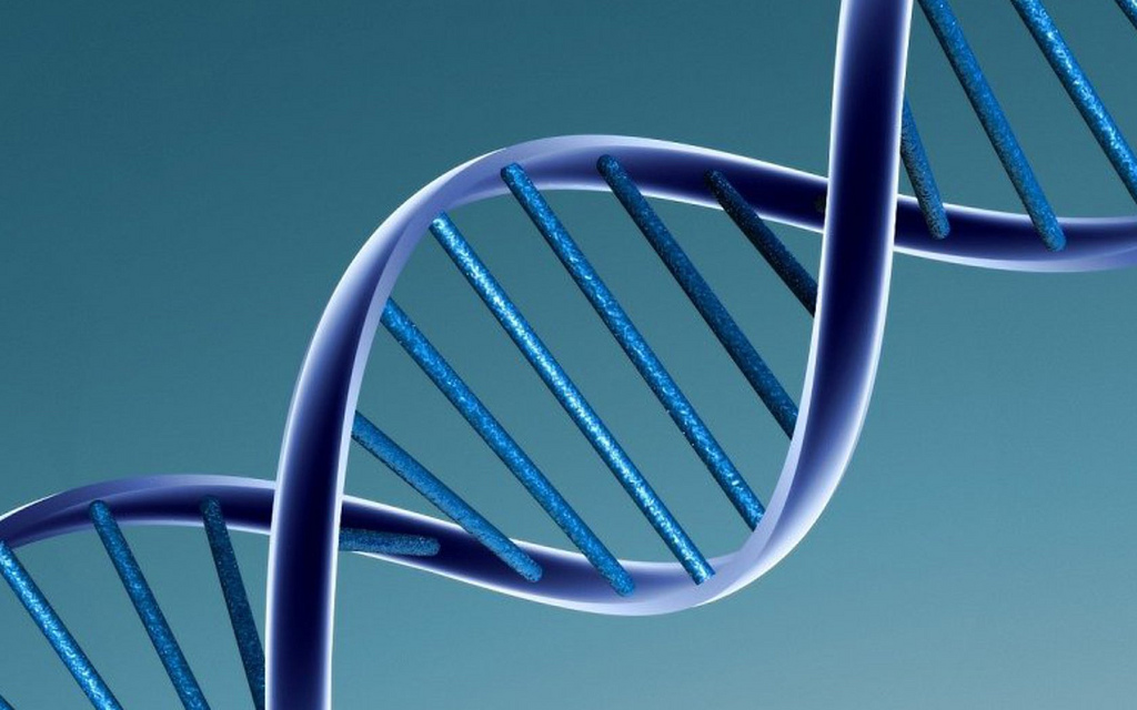 Supercoiled DNA Challenges Commonly Held Idea of a Static Double Helix