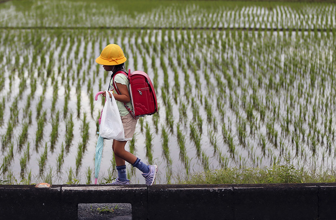 Rice farmers remain concerned that the TPP will erode their livelihoods.    Reuters