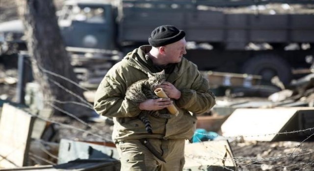 A fighter with the separatist self-proclaimed Donetsk People's Republic army holds a cat as he looks for ammunition in a destroyed Ukrainian army compound in the town of Debaltseve