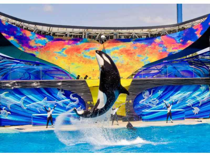 SeaWorld Wins But May Ultimately Lose in Commission Vote