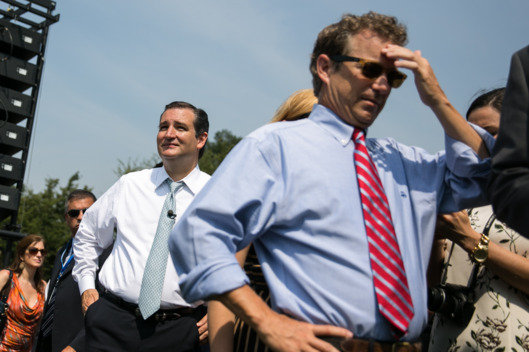 Members Of Congress Join Tea Party At Anti Obamacare Rally At US Capitol