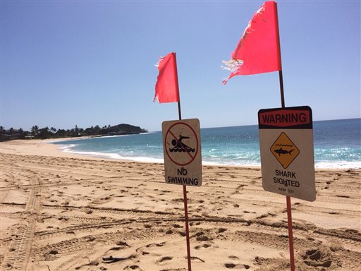 Signs warning of a shark sighting are posted at Makaha Beach Park in Waianae Hawaii Thursday Oct. 29 2015. A 10-year-old boy was bitten by a shark off at the Oahu beach on Wednesday