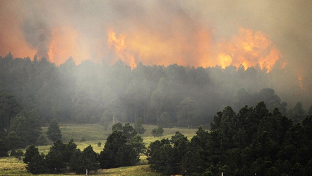 Dangerous Increase In Wildfires Predicted As Climate Warms, Study Says