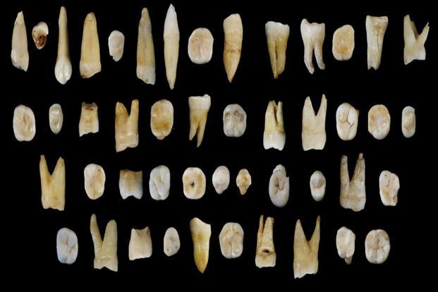 The trove of fossil human teeth from a cave in southern China is rewriting the history of the early migration of our species out of Africa