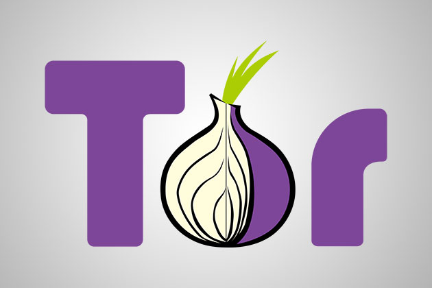 Tor logo