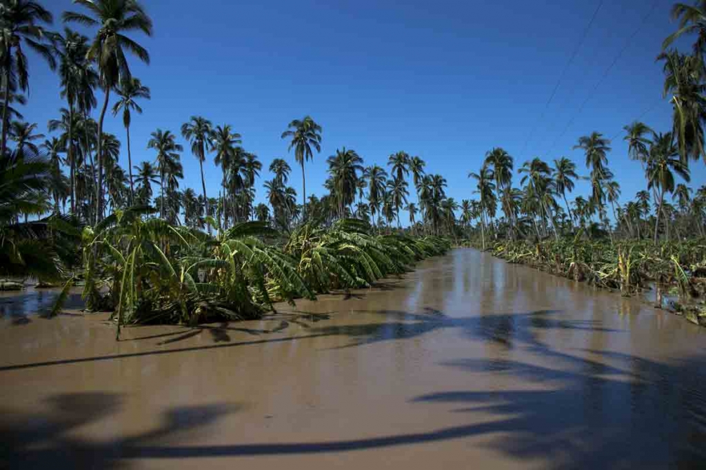 Flooded and destroyed banana plantations surround the village of Rebalse outside Cihuatlan Jalisco State Mexico Sunday Oct. 25 2015