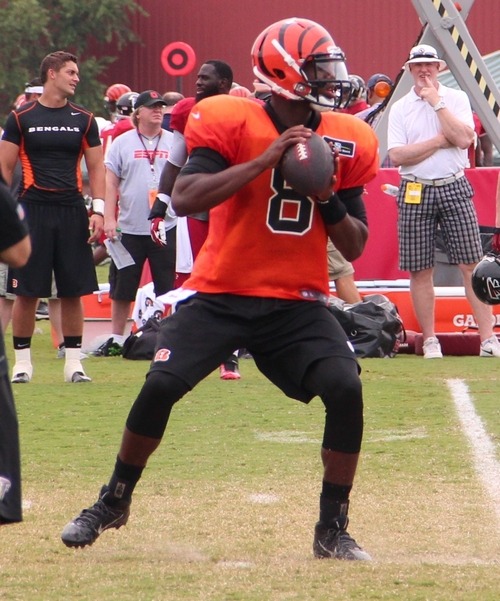 Wikimedia Commons  Thomson200Josh Johnson with the Cincinnati Bengals in 2013